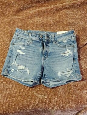 American Eagle Outfitters Light Blue Distressed Denim Shorts